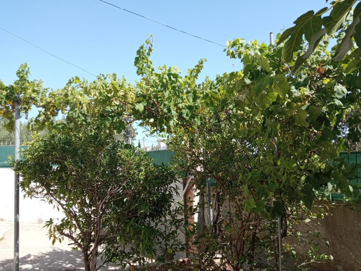 Appartamento Sunset Viewhouse Dhërmi Esterno foto